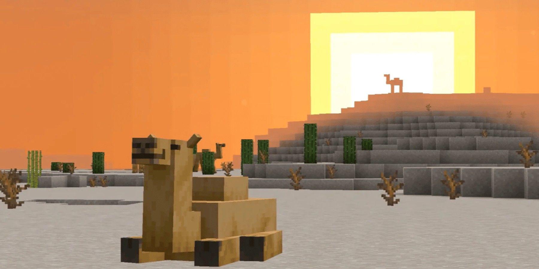 Camelos do Minecraft 1.20 serão o melhor companheiro para exploração