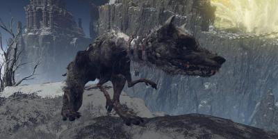 Cão Caelid gigante arruína missão em Elden Ring