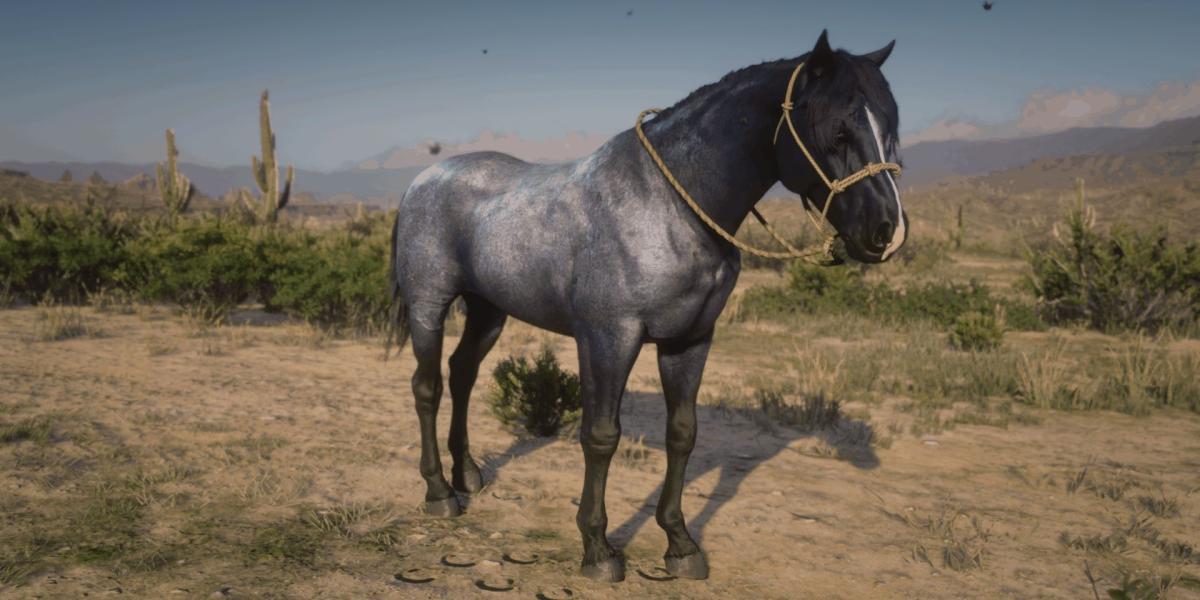 A raça do cavalo Nokota em Red Dead Redemption 2
