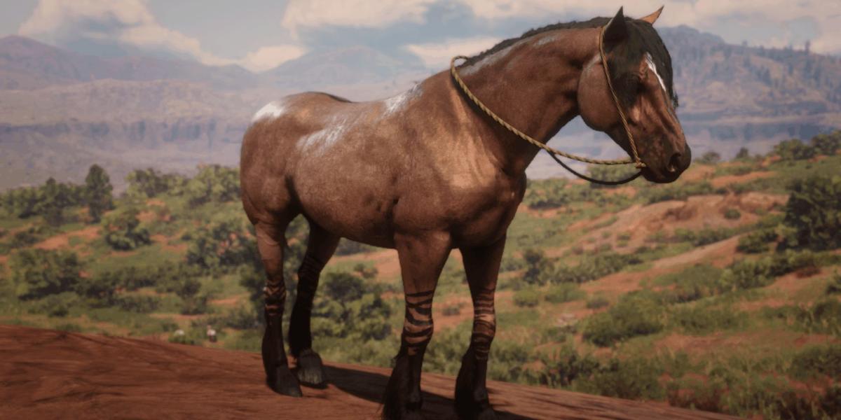 A raça do cavalo Mustang em Red Dead Redemption 2