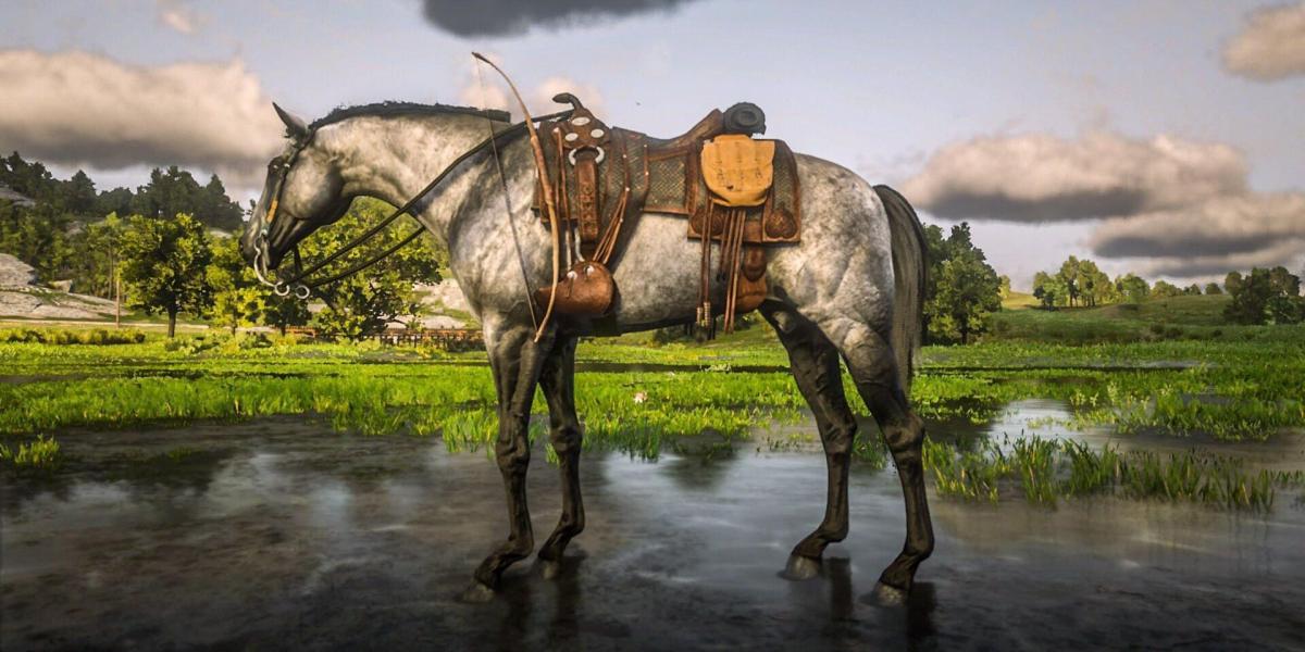 O turcomano, uma raça de cavalo em Red Dead Redemption 2