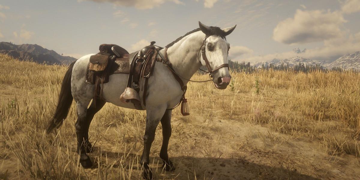 A raça de cavalos Kladruber em Red Dead Online