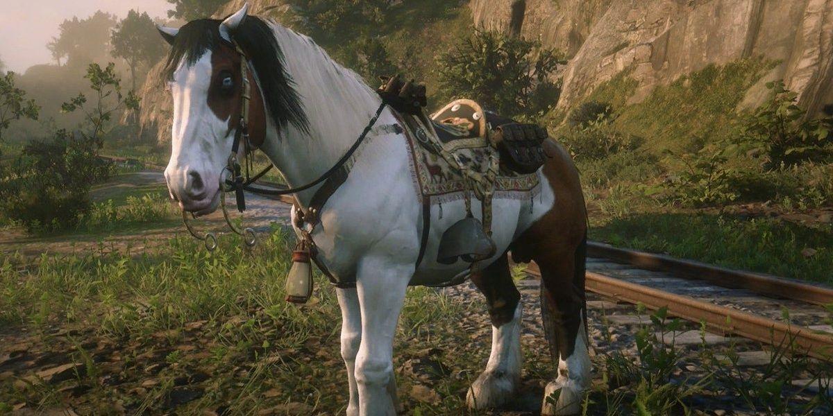 A raça de cavalos Gypsy Cob em Red Dead Online