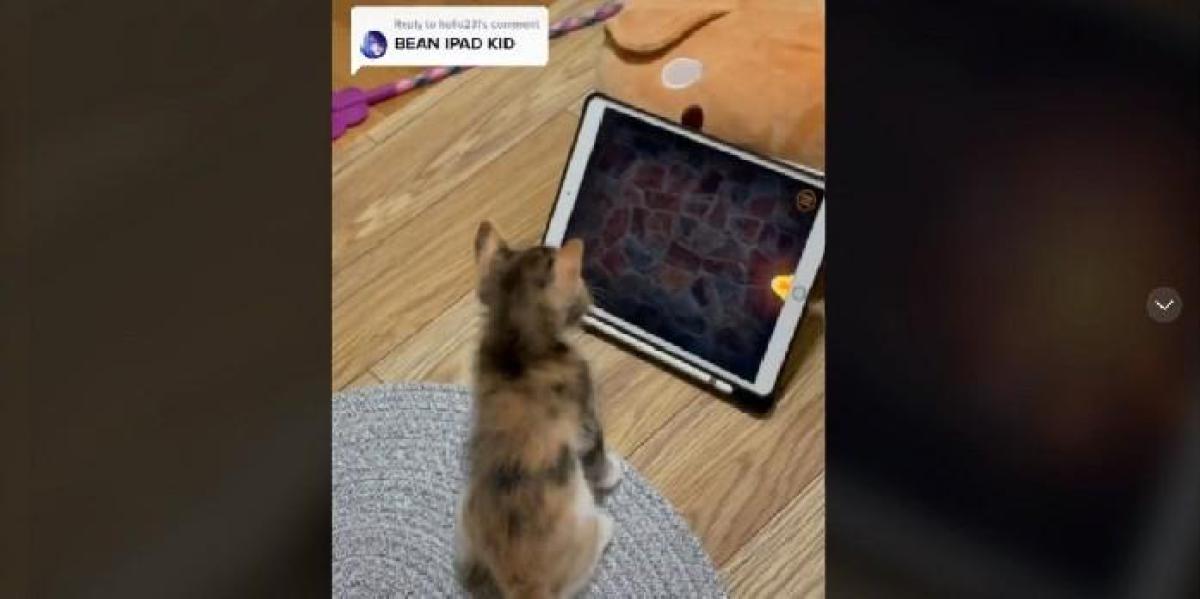 Clipe adorável mostra gatinho jogando jogo para iPad
