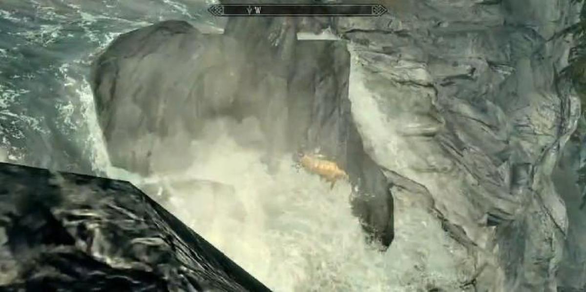 Clipe estranho de Skyrim mostra cabra correndo na cachoeira