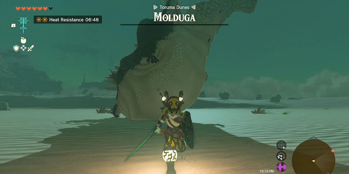 Legend of Zelda Tears of the Kingdom - Acabando com Molduga nas Dunas do Deserto de Gerudo