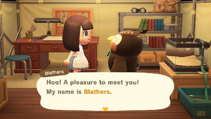 Como obter Blathers em Animal Crossing: New Horizons