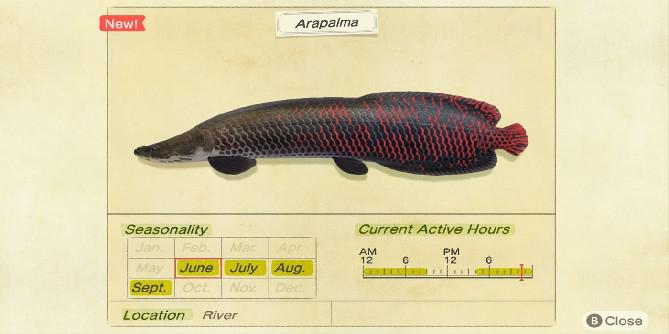 Como pegar um Arapaima em Animal Crossing: New Horizons