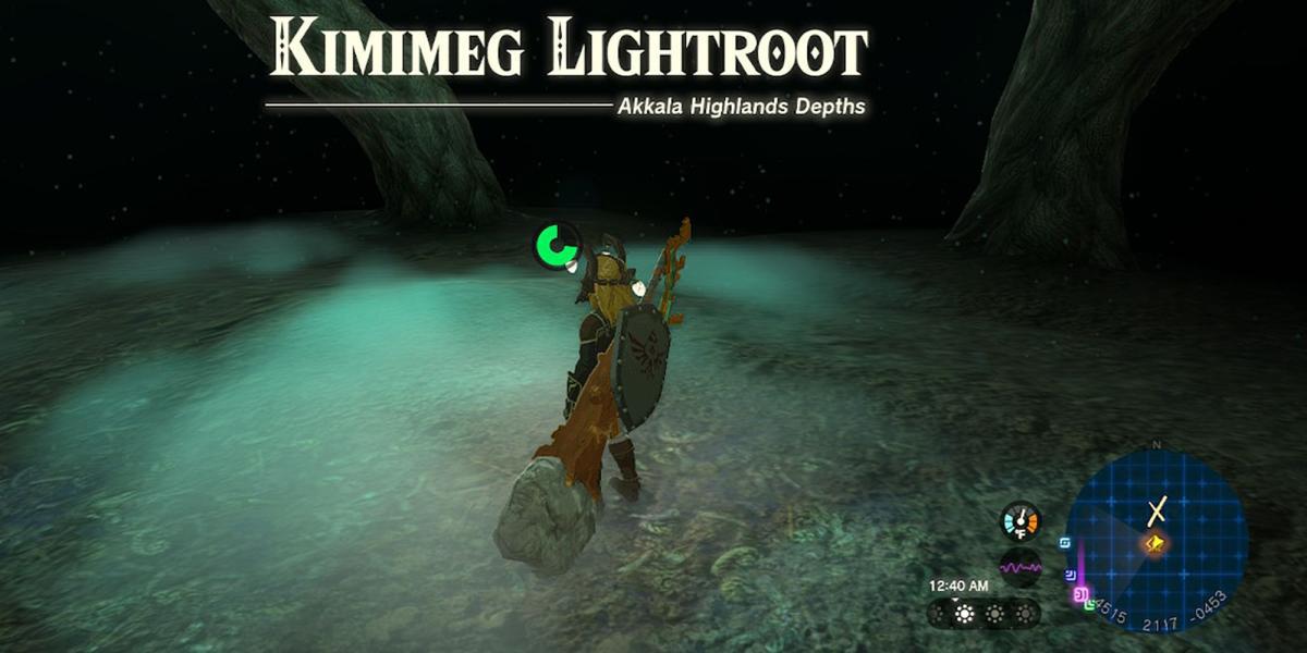 Zelda Tears Of The Kingdom - Alcançando o Lightroot que ilumina a área ao redor da Túnica do Crepúsculo