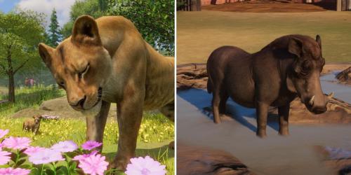 Desbloqueie animais incríveis no Planet Zoo!