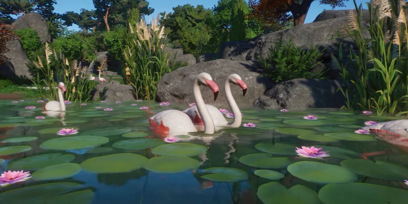 Planet Zoo Maior Flamingo