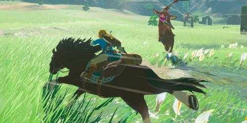 Descoberta surpreendente sobre guardas em Zelda