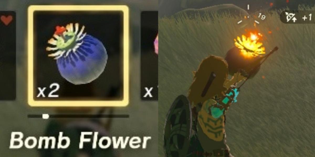 Descubra como cultivar flores bomba em Tears of the Kingdom!
