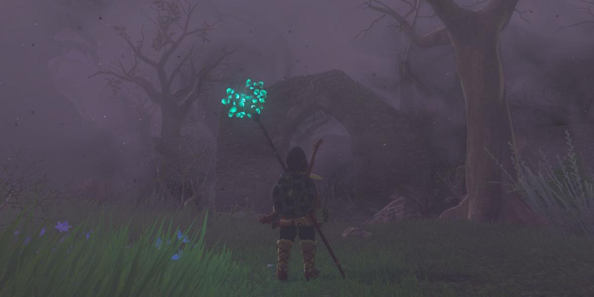 Descubra como entrar na Floresta Korok em Zelda!