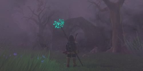 Descubra como entrar na Floresta Korok em Zelda!