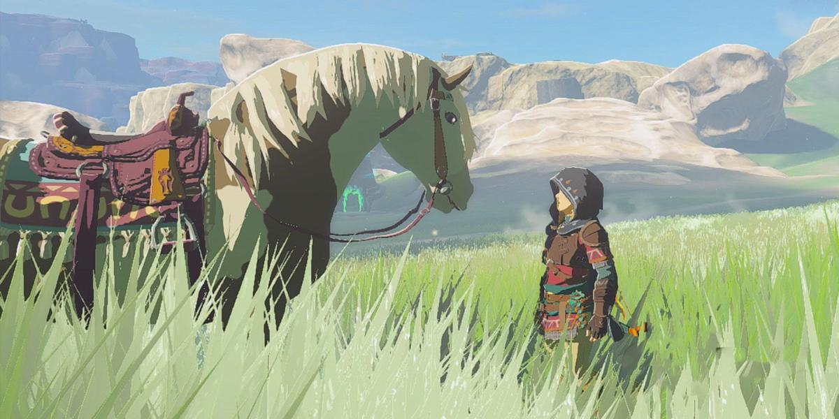 Descubra limite de cavalos em Zelda!