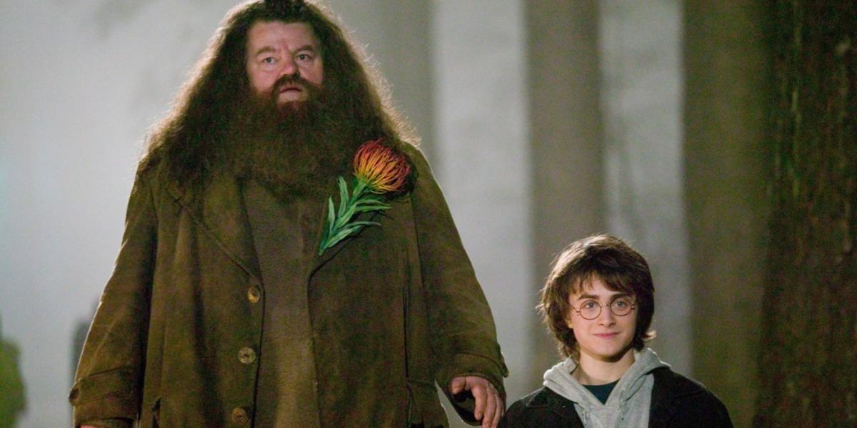 Descubra o segredo chocante por trás da proibição de Hagrid em Hogwarts!