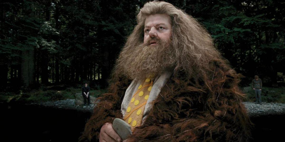 Hagrid em Harry Potter e o Prisioneiro de Azkaban com uma pedra na mão