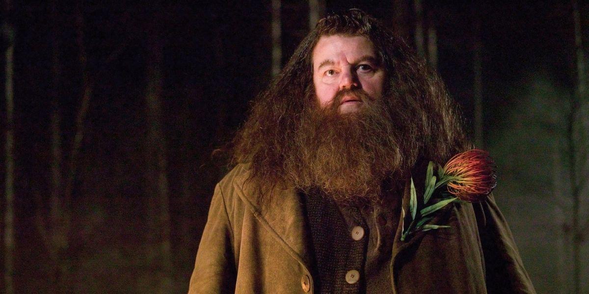 Hagrid em Harry Potter e o Cálice de Fogo com uma flor em seu sobretudo