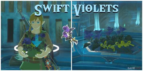 Descubra onde encontrar as raras violetas Swift em Breath of the Wild!