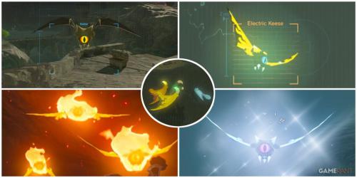 Descubra onde encontrar asas Keese em Breath of the Wild!