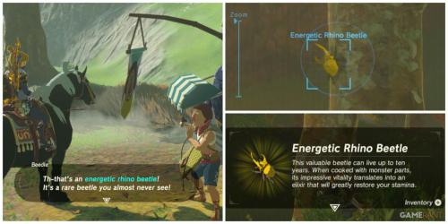 Descubra onde encontrar besouros energéticos em Breath of the Wild!