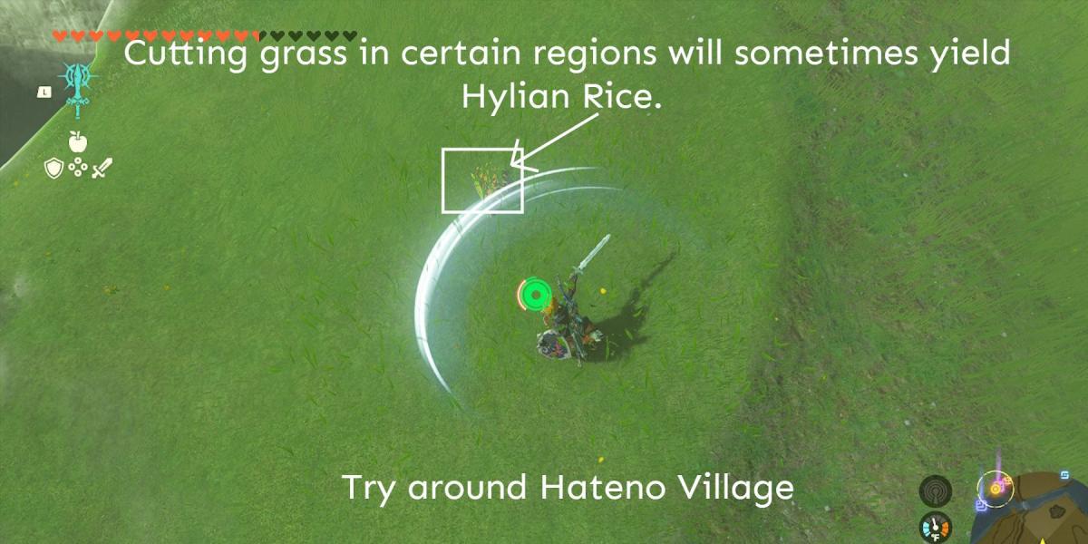 TotK-Farming-Hylian-Rice