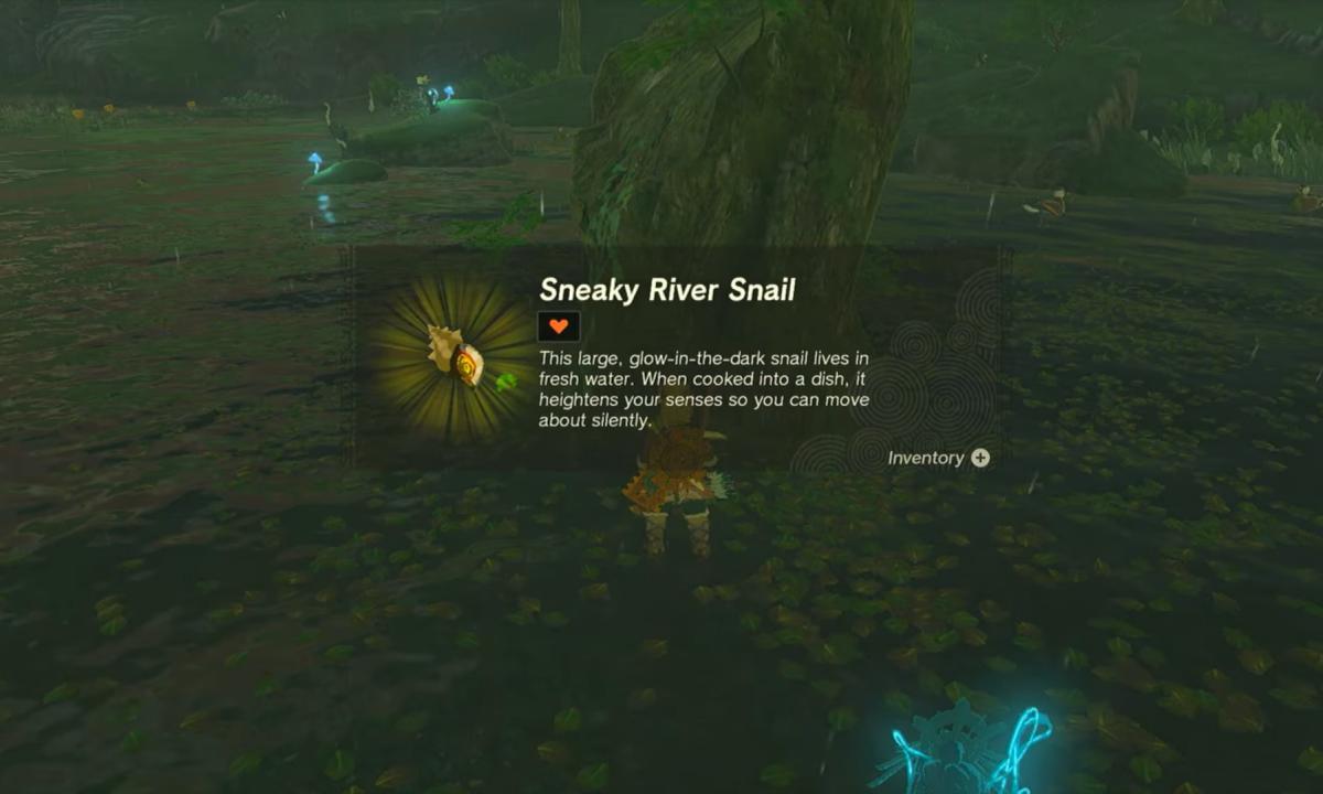 Sneaky River Snails Totk