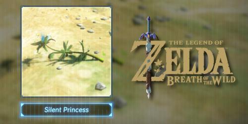 Descubra onde encontrar Princesas Silenciosas em Breath of the Wild!