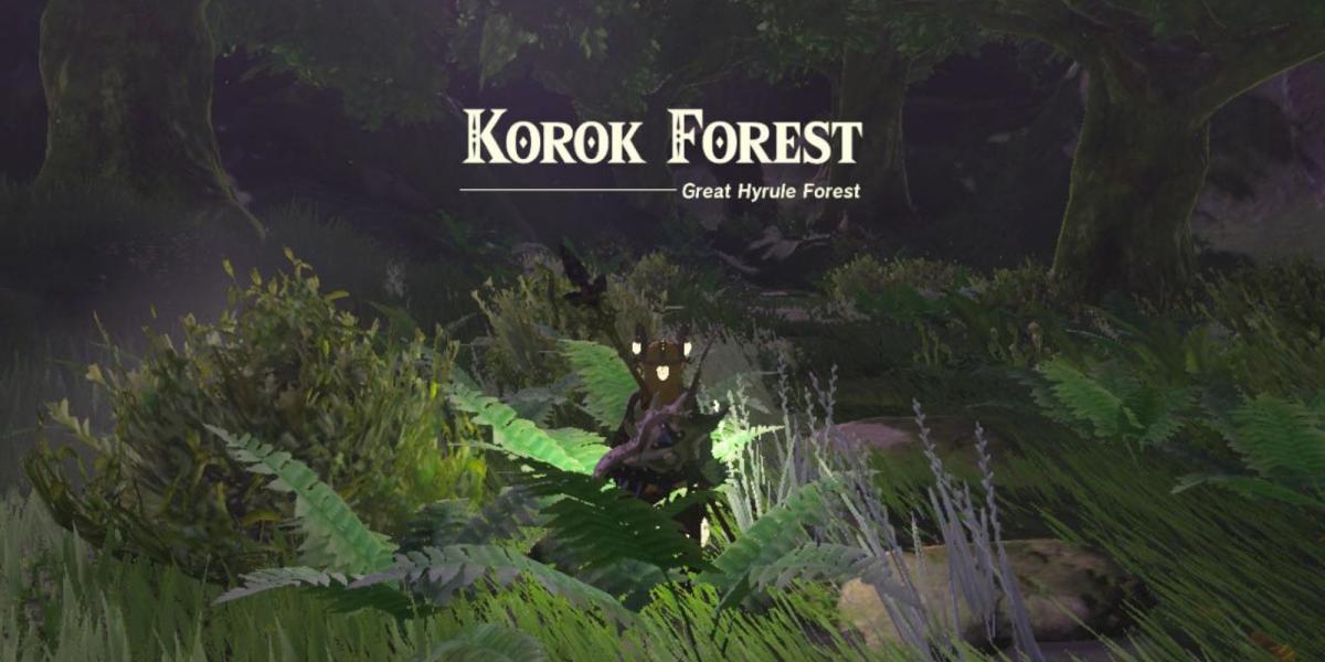 Lágrimas do Reino Korok Forest
