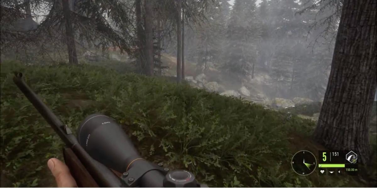 Melhores Rifles em TheHunter - Call of the Wild - .243 Ranger - Jogador procura jogo na margem de um rio