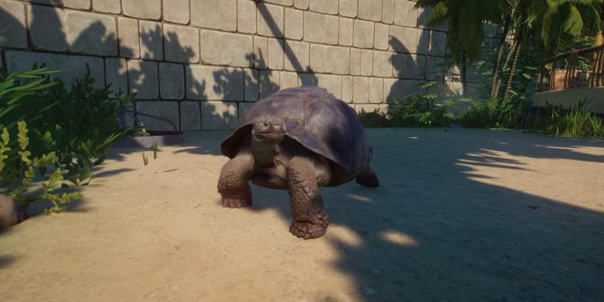 Planet Zoo tartaruga gigante