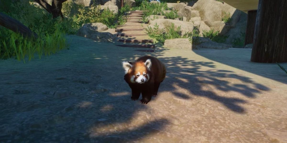 Planet Zoo Panda Vermelho