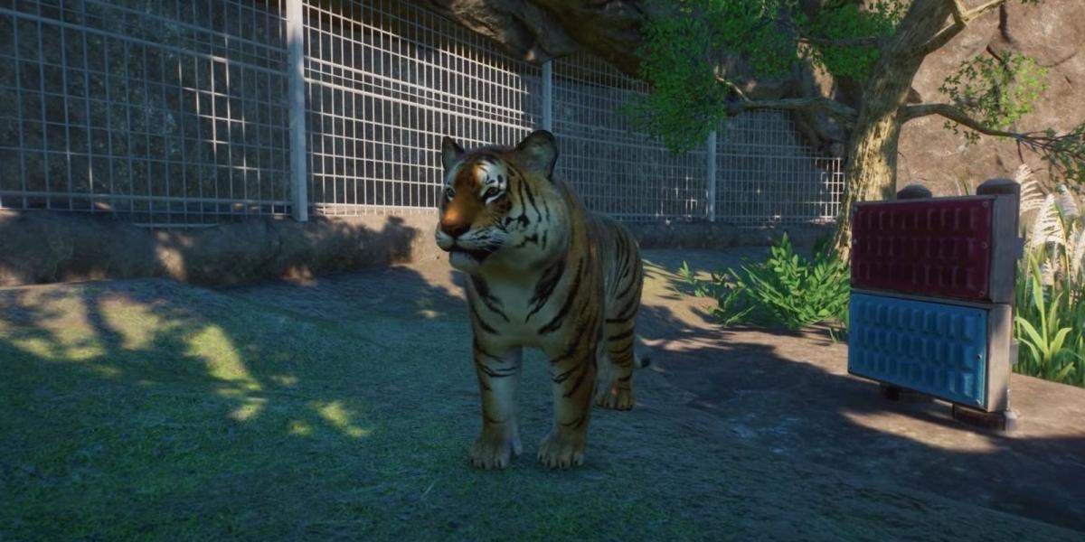 Planet Zoo Tigre de Bengala