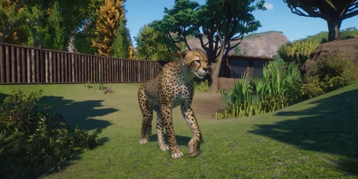Planet Zoo Cheetah