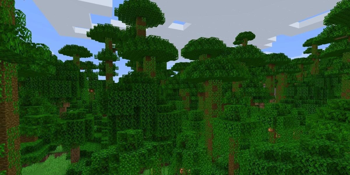 Bioma da Selva do Minecraft