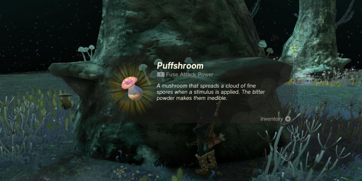 Link coleta um Puffshroom em Tears of the Kingdom