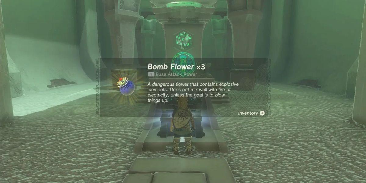 Link coleta Bomb Flowers em Tears of the Kingdom