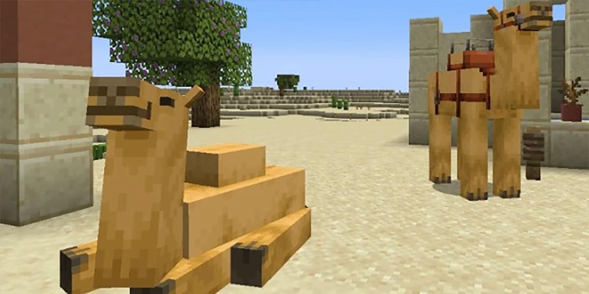 Camelos do Minecraft relaxando