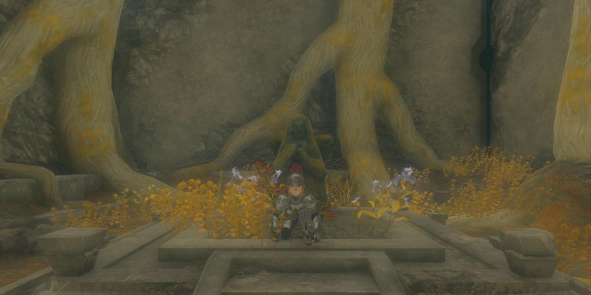 Zelda Tears of the Kingdom - Link agachado na frente da estátua da deusa na ilha Dragonhead