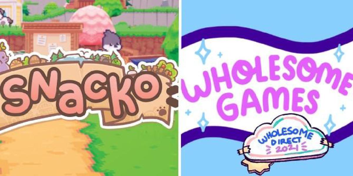 Desenvolvedores de jogos indie Snacko falam sobre envolvimento com Wholesome Direct