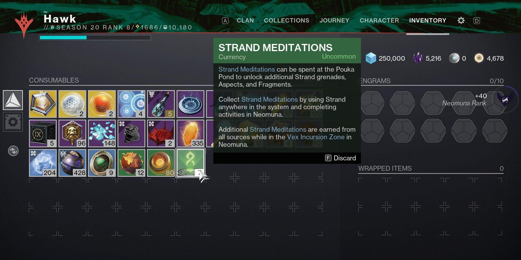 Destiny 2: Como obter Strand Meditations (e para que são usadas)