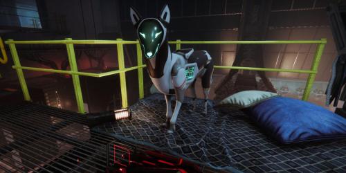 Destiny 2: Onde encontrar o cão mecânico