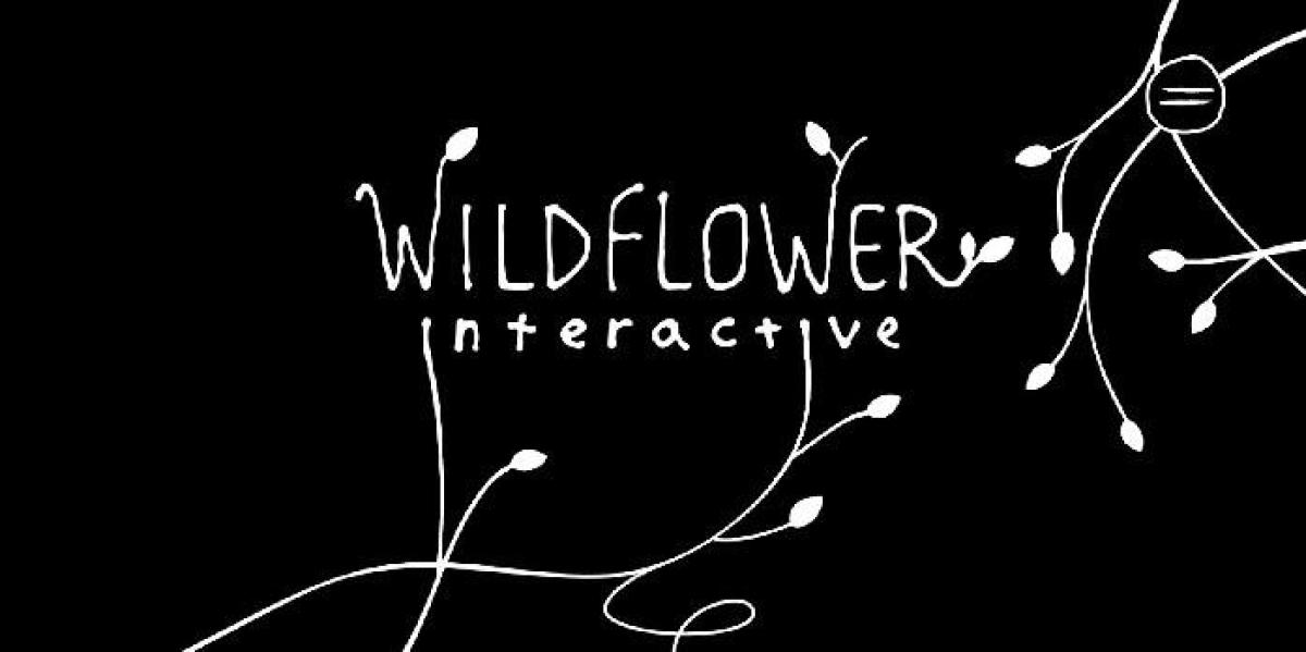 Diretor de Last of Us 1, Bruce Straley, revela novo estúdio Wildflower Interactive