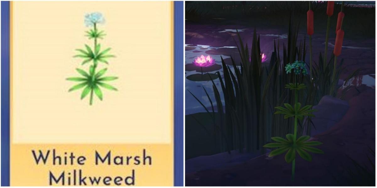 Disney Dreamlight Valley: Onde encontrar White Marsh Milkweed