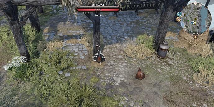 Divinity Original Sin 2: Counting Your Chickens Quest Guide