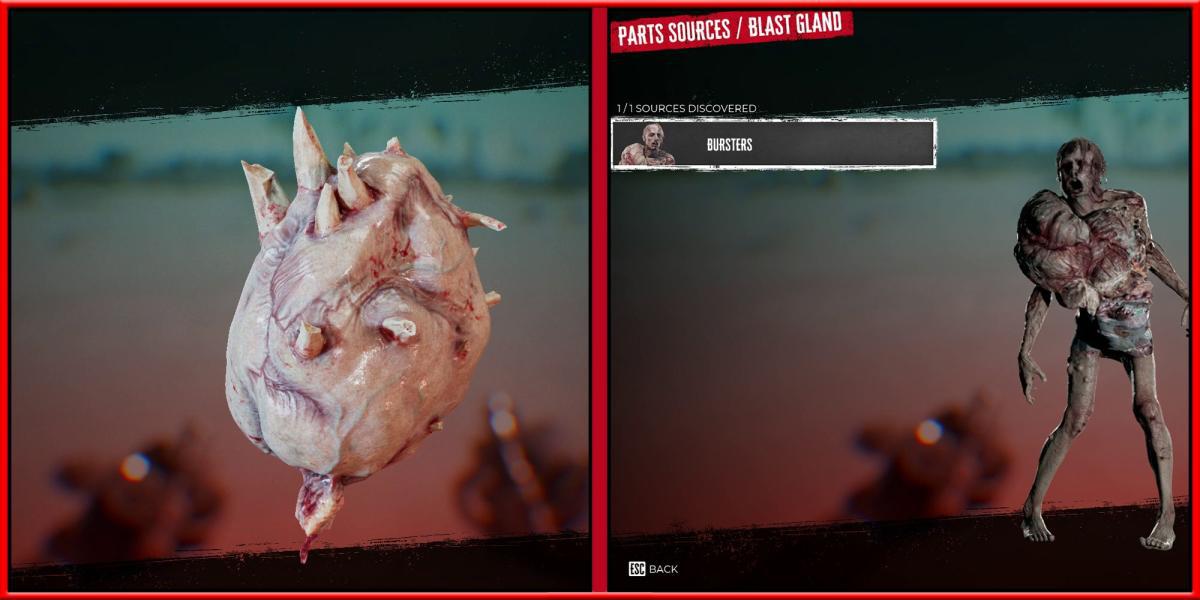 Dead Island 2 - Guia de peças de zumbis - Glândula de explosão e onde cultivá-las
