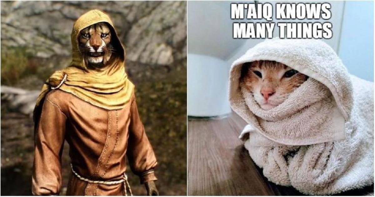 Elder Scrolls: 10 memes Khajiit que são hilários (se você tiver moedas)