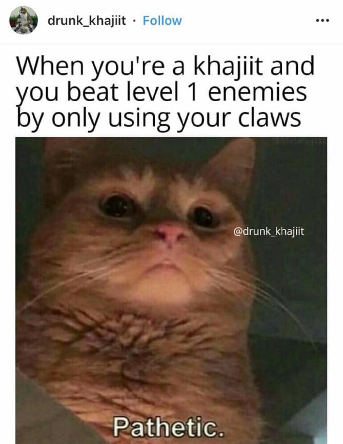Elder Scrolls: 10 memes Khajiit que são hilários (se você tiver moedas)
