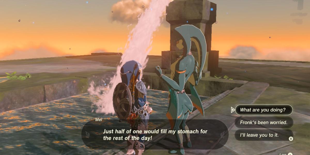 Zelda Lágrimas do Reino Mei